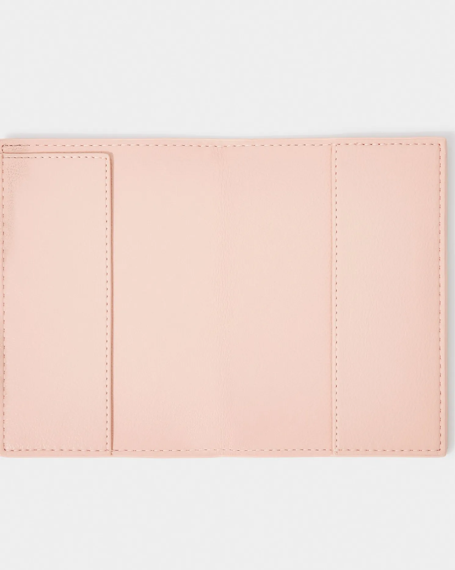 Children's My First Passport Holder in Pink
